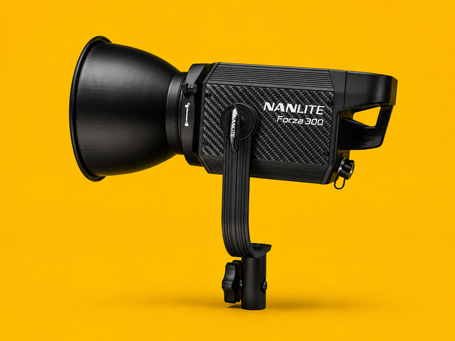 Nanlite Forza 300